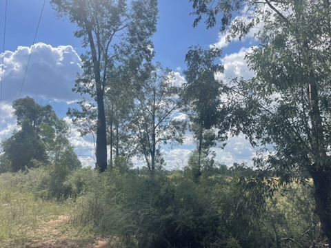 0 Bedroom Property for Sale in De Deur Gauteng