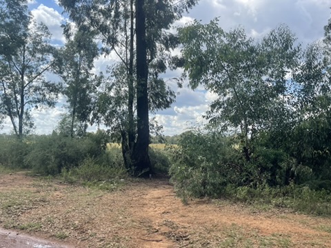 0 Bedroom Property for Sale in De Deur Gauteng