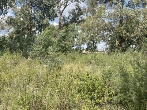 0 Bedroom Property for Sale in De Deur Gauteng