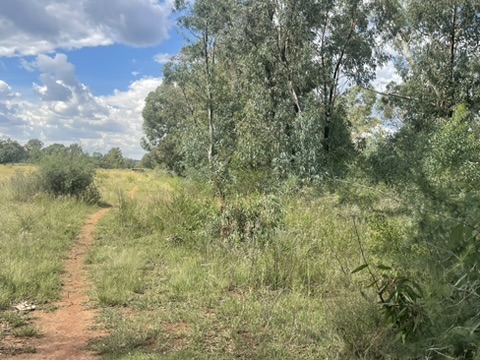 0 Bedroom Property for Sale in De Deur Gauteng