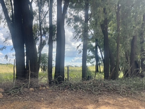 0 Bedroom Property for Sale in De Deur Gauteng