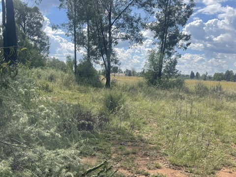 0 Bedroom Property for Sale in De Deur Gauteng