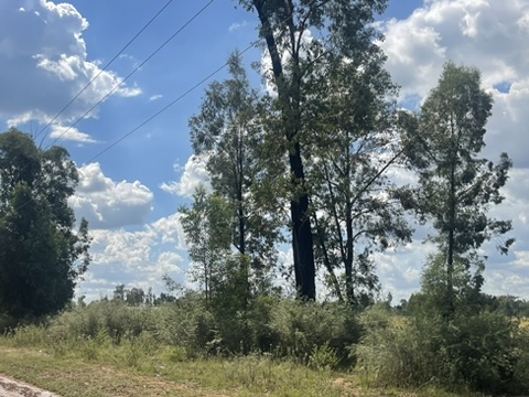 0 Bedroom Property for Sale in De Deur Gauteng