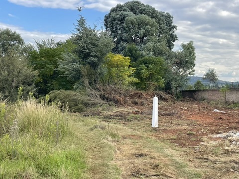 0 Bedroom Property for Sale in Kibler Park Gauteng