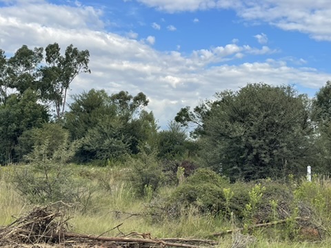 0 Bedroom Property for Sale in Kibler Park Gauteng