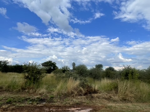 0 Bedroom Property for Sale in Kibler Park Gauteng