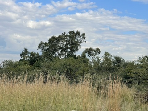 0 Bedroom Property for Sale in Kibler Park Gauteng