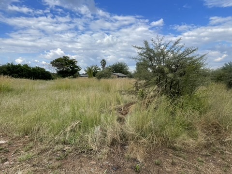 0 Bedroom Property for Sale in Kibler Park Gauteng