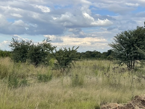 0 Bedroom Property for Sale in Kibler Park Gauteng