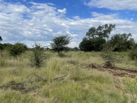 0 Bedroom Property for Sale in Kibler Park Gauteng