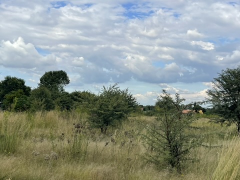 0 Bedroom Property for Sale in Kibler Park Gauteng