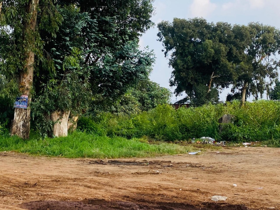0 Bedroom Property for Sale in Zesfontein A H Gauteng
