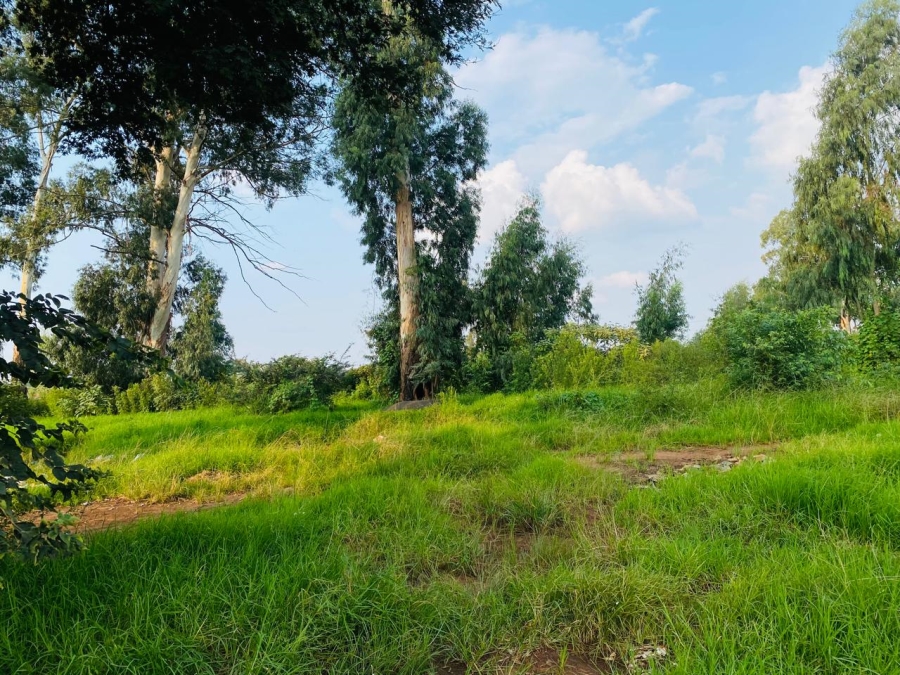 0 Bedroom Property for Sale in Zesfontein A H Gauteng