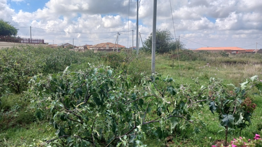 0 Bedroom Property for Sale in Mohlakeng Gauteng