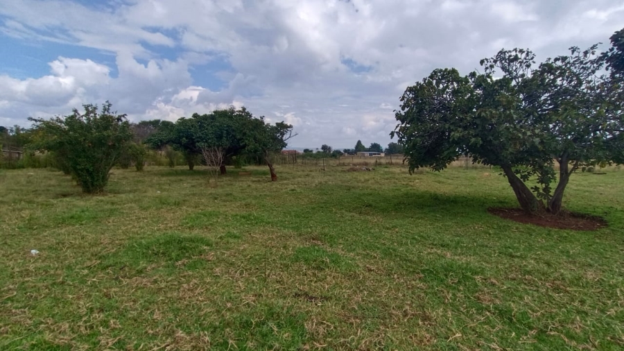 4 Bedroom Property for Sale in Pelzvale A H Gauteng