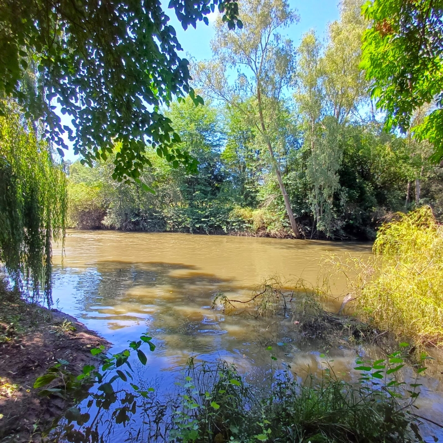 6 Bedroom Property for Sale in Meyerton South Gauteng