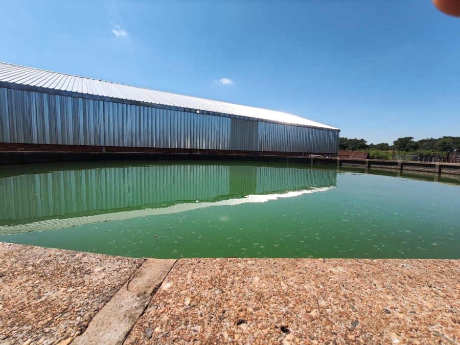 4 Bedroom Property for Sale in Kameeldrift East Gauteng