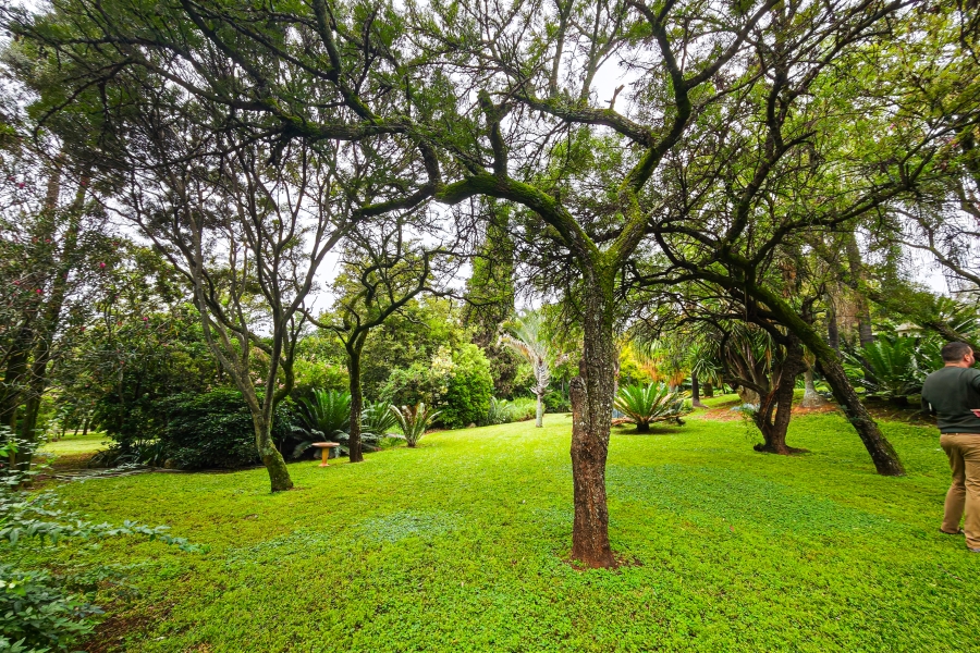 10 Bedroom Property for Sale in Olympus AH Gauteng