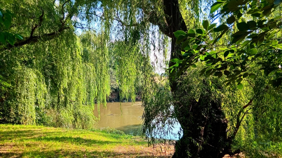 6 Bedroom Property for Sale in Glen Donald A H Gauteng