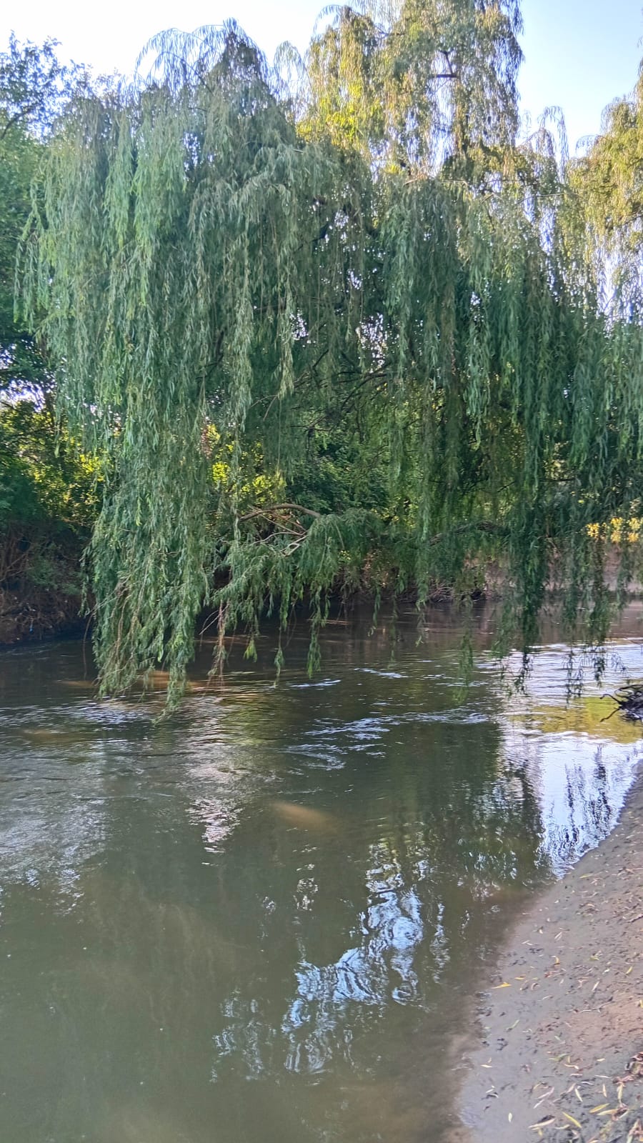 6 Bedroom Property for Sale in Glen Donald A H Gauteng