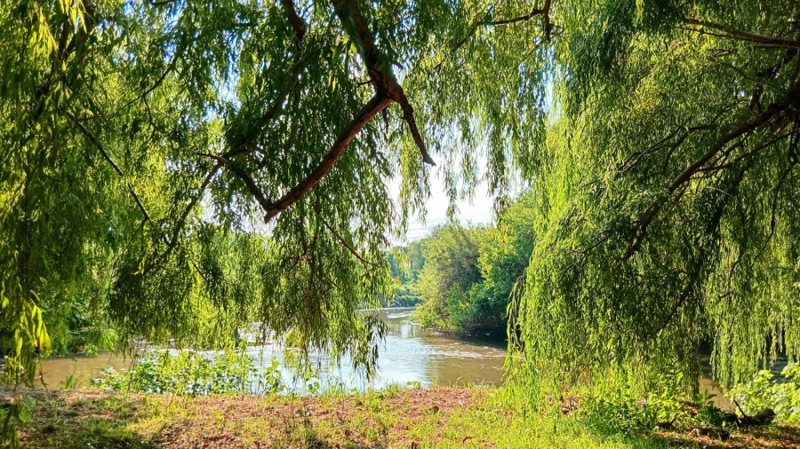 6 Bedroom Property for Sale in Glen Donald A H Gauteng