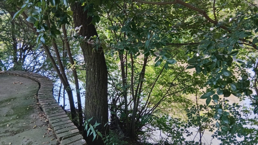 6 Bedroom Property for Sale in Glen Donald A H Gauteng