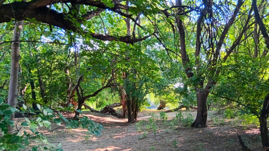 6 Bedroom Property for Sale in Glen Donald A H Gauteng