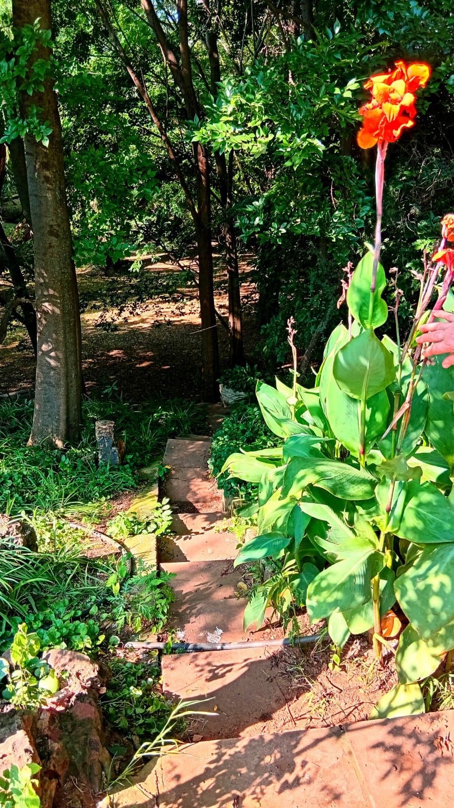 6 Bedroom Property for Sale in Glen Donald A H Gauteng