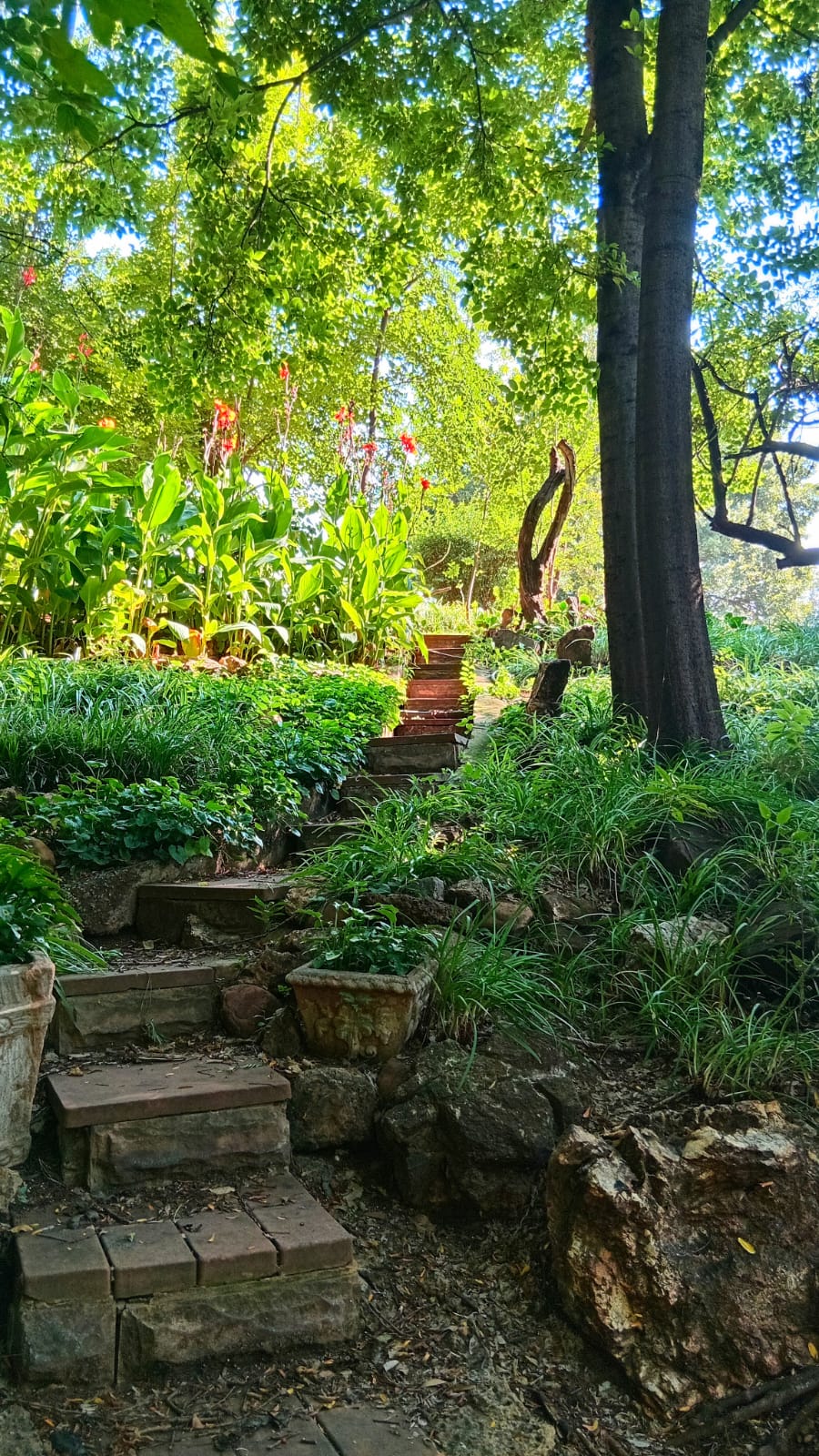 6 Bedroom Property for Sale in Glen Donald A H Gauteng