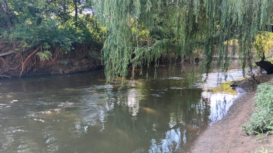 6 Bedroom Property for Sale in Glen Donald A H Gauteng