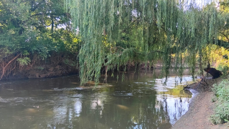 6 Bedroom Property for Sale in Glen Donald A H Gauteng