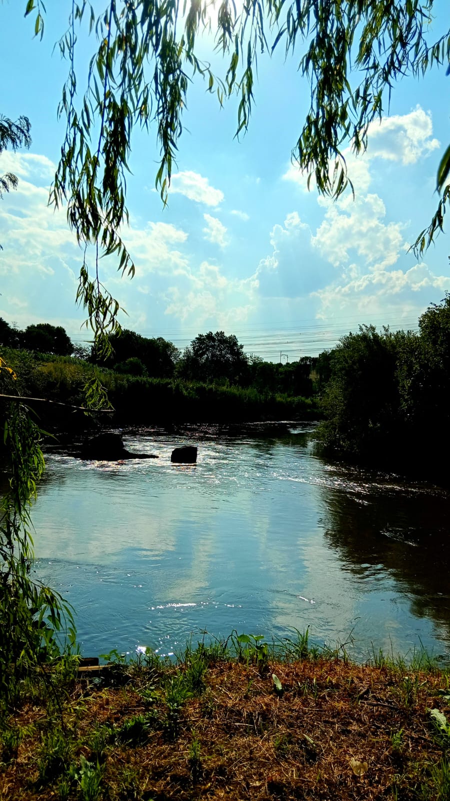 6 Bedroom Property for Sale in Glen Donald A H Gauteng