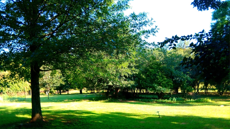 4 Bedroom Property for Sale in Glen Donald A H Gauteng