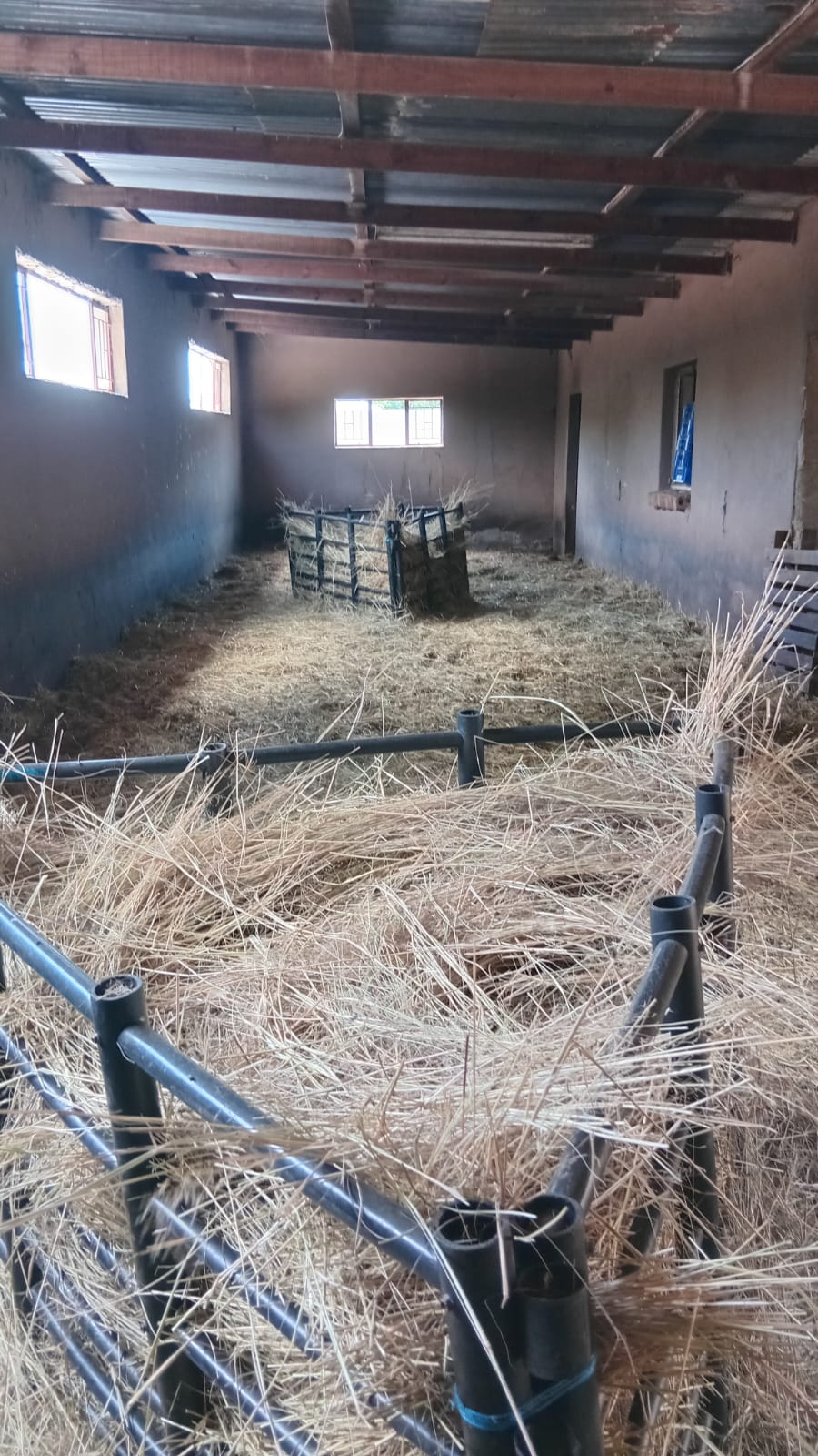 4 Bedroom Property for Sale in Glen Donald A H Gauteng