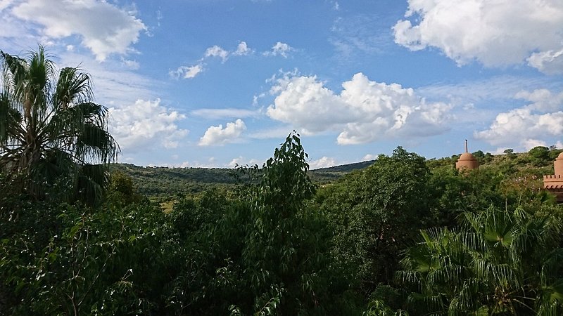 37 Bedroom Property for Sale in Elandsfontein AH Gauteng