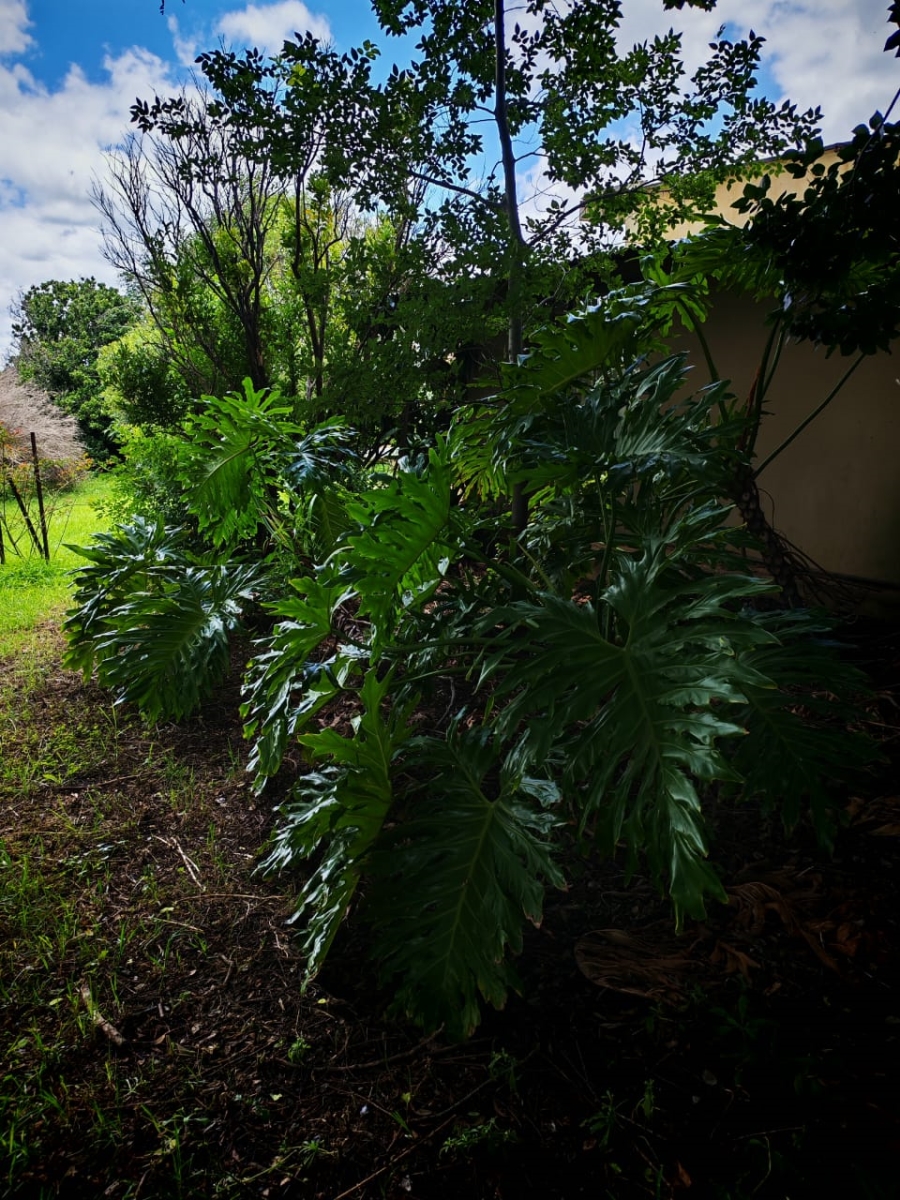 3 Bedroom Property for Sale in Rayton Gauteng