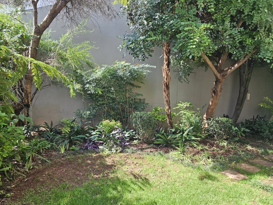 To Let 3 Bedroom Property for Rent in Dunkeld Gauteng
