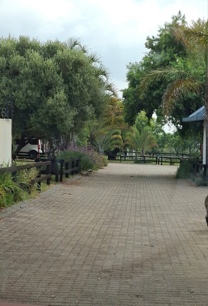 1 Bedroom Property for Sale in Sun Valley Gauteng