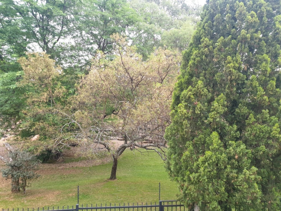 To Let 3 Bedroom Property for Rent in Morningside Gauteng