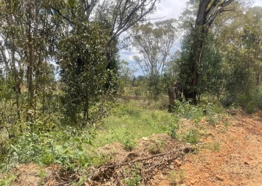 0 Bedroom Property for Sale in Walker Fruit Farms Gauteng