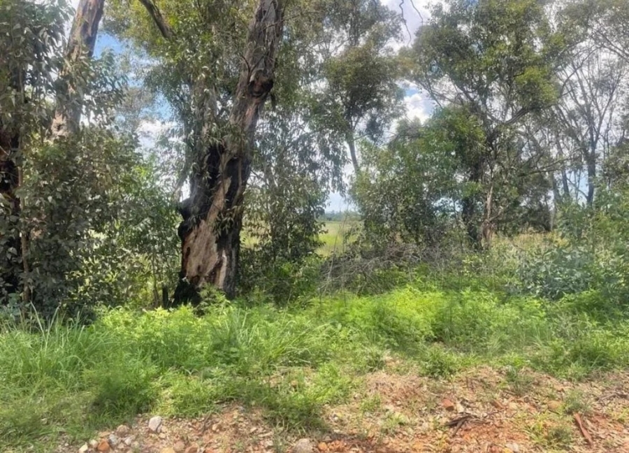 0 Bedroom Property for Sale in Walker Fruit Farms Gauteng