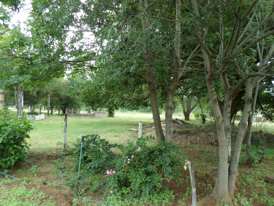 To Let 1 Bedroom Property for Rent in Knoppieslaagte Gauteng