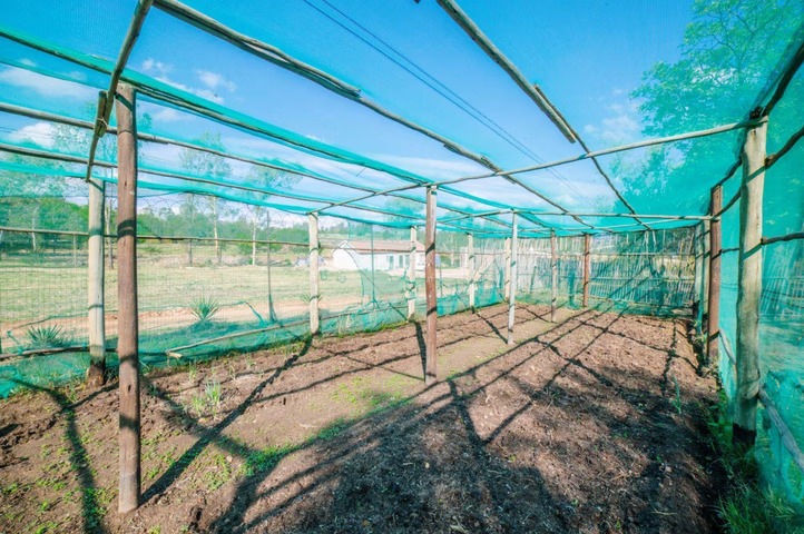 4 Bedroom Property for Sale in Farmall A H Gauteng