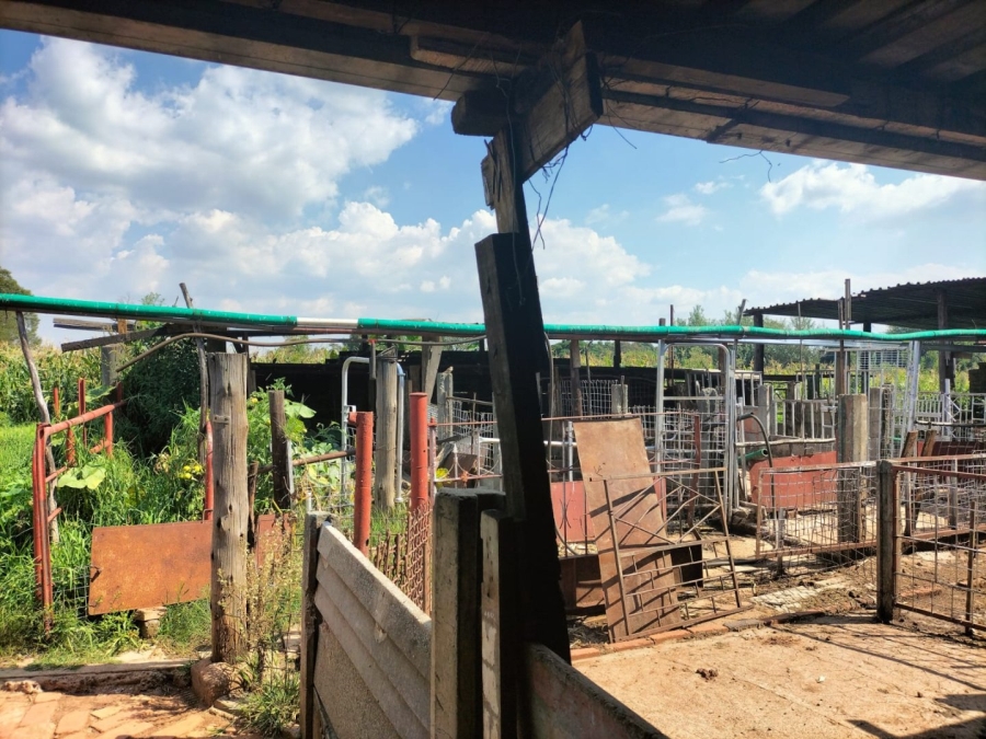 5 Bedroom Property for Sale in Middelvlei A H Gauteng