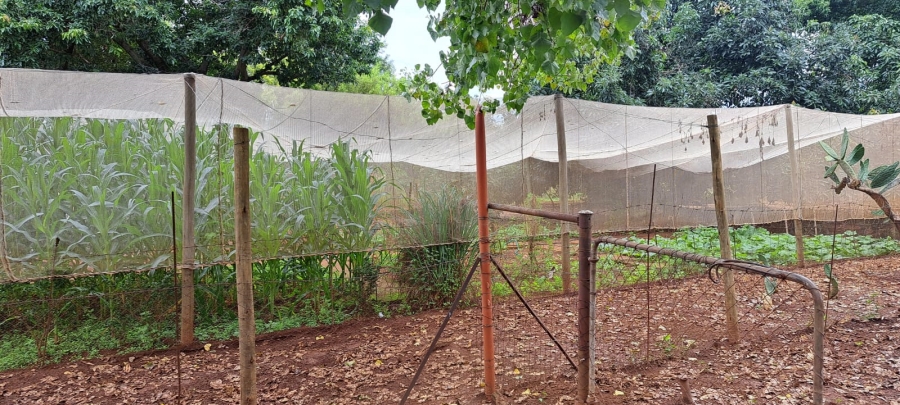 3 Bedroom Property for Sale in Haakdoornboom Gauteng