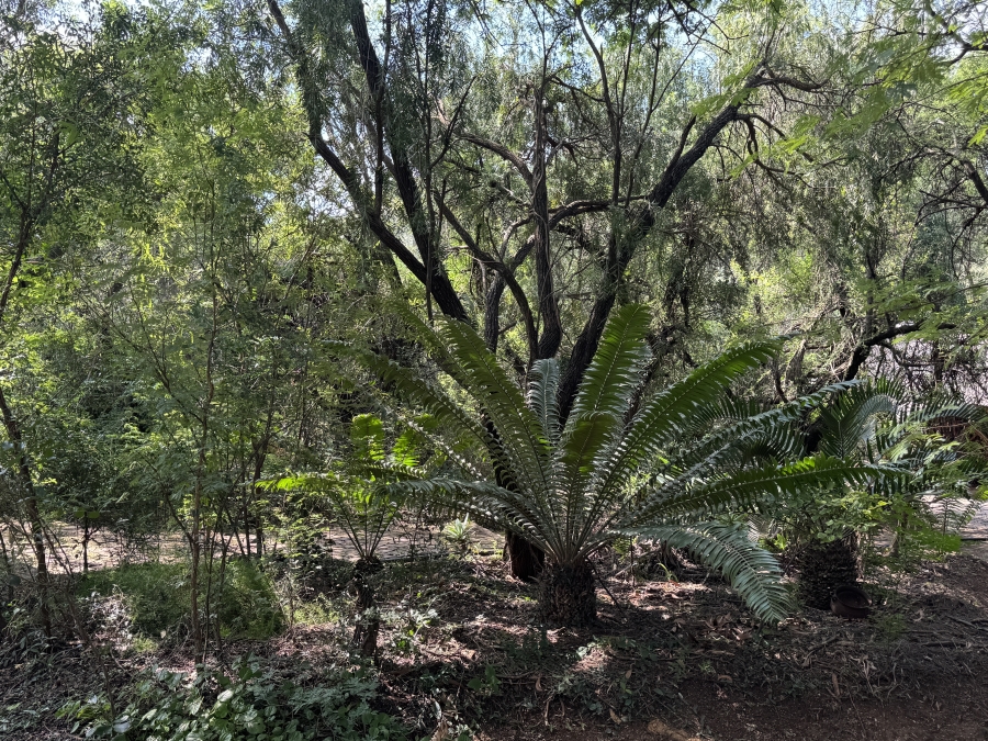 3 Bedroom Property for Sale in Buffelsdrift A H Gauteng