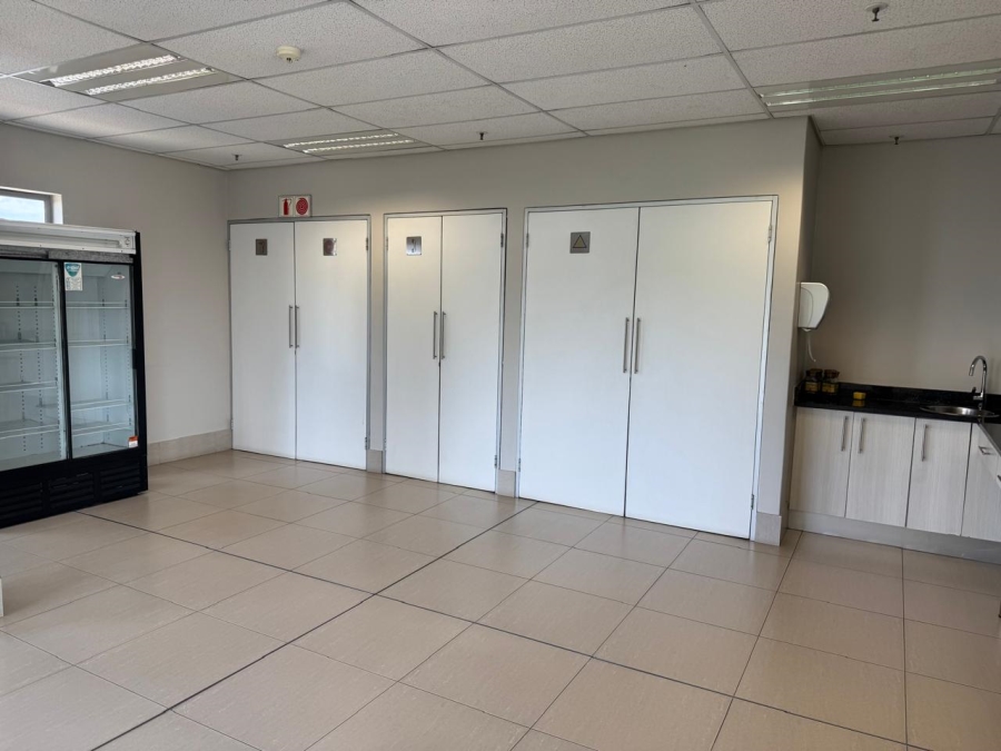 To Let commercial Property for Rent in Rietfontein Gauteng