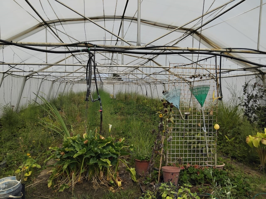 2 Bedroom Property for Sale in Theoville Gauteng