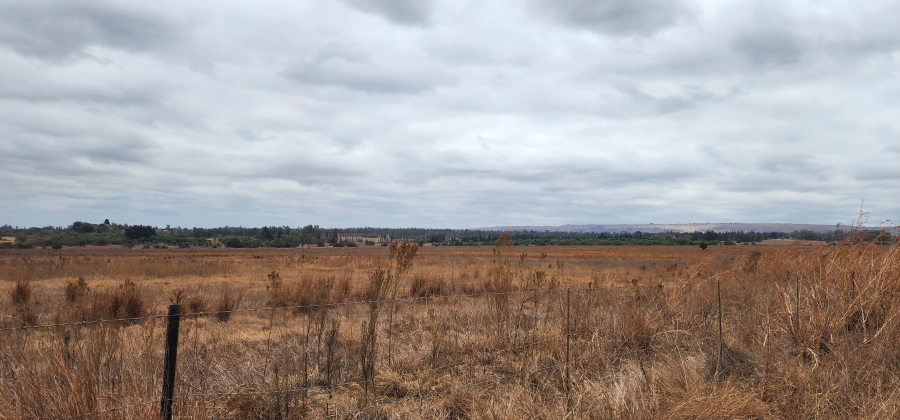 0 Bedroom Property for Sale in Mooiplaats Gauteng