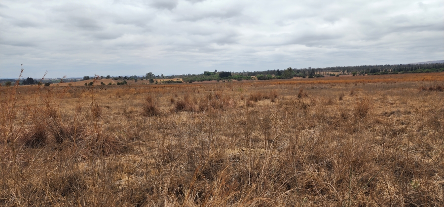 0 Bedroom Property for Sale in Mooiplaats Gauteng